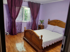 Apartament Doina
